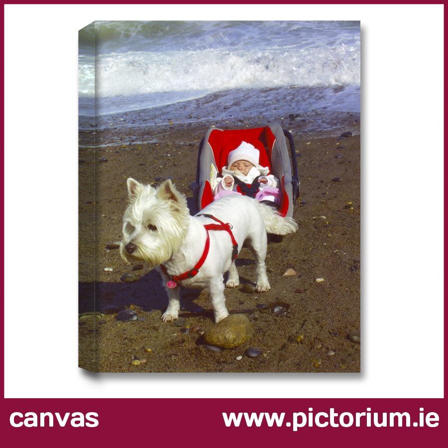 FAMILY CANVAS Prints. Killiney Beach Dog & Carraige. Over 50 Sizes Delivered Nationwide. Pictorium Photoshop Monkstown Dublin. Dublin Photo Printing, Canvas. Canvas Gift voucher. Mothers Day Gift Birthday Gift Amazing reviews. Shop in Monkstown Minutes from Blackrock & Dun Laoghaire (01) 2846106