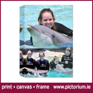 FLORIDA SEAWORLD PHOTO COLLAGE Blend Collage. Print Canvas Framed. Pictorium Photoshop Monkstown Dublin We Design and Print Personalised Photo Collages. Unique designs. Canvas, Printed, Framed, Block Float, Frame. Delivered all around Ireland. Birthday, Anniversary, Engagement, Wedding, Baptism, Christening, Communion Confirmation, Mothers Day, Fathers Day, Valentines Day, Christmas Gifts Bedroom Wall Art