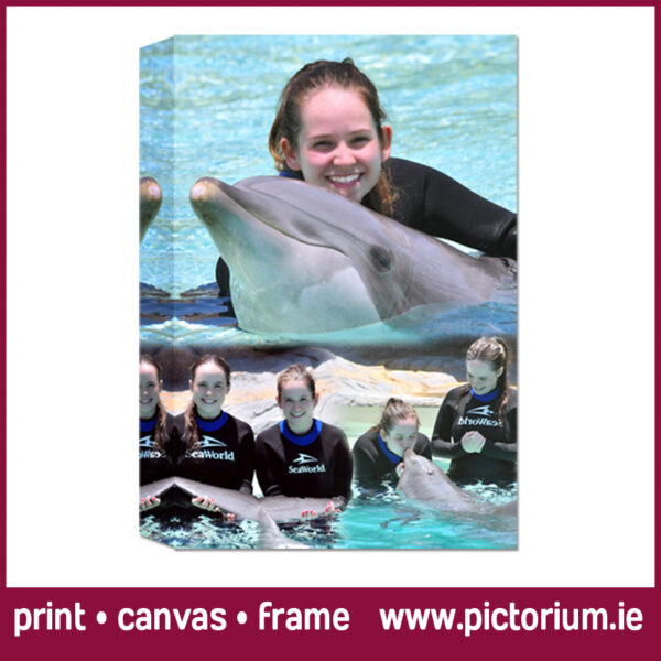 FLORIDA SEAWORLD PHOTO COLLAGE Blend Collage. Print Canvas Framed. Pictorium Photoshop Monkstown Dublin We Design and Print Personalised Photo Collages. Unique designs. Canvas, Printed, Framed, Block Float, Frame. Delivered all around Ireland. Birthday, Anniversary, Engagement, Wedding, Baptism, Christening, Communion Confirmation, Mothers Day, Fathers Day, Valentines Day, Christmas Gifts Bedroom Wall Art