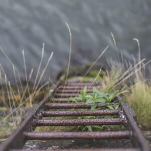 Lulu Landscape Photographs for Sale. See her gallery. Dun Laoghaire Ladder Printed onto Canvas or Framed. Lulu Photography at The Pictorium Monkstown Dublin. New Baby, Christeneting, Communion, Family Wedding Birthday Anniversary Events.