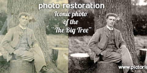 Photo_Restoration_The-Big-Tree-Loughlinstown_The-Pictorium-Monkstown-Dublin_Torn-damaged-marked-faded_Photo-restored-printed-and-framed1