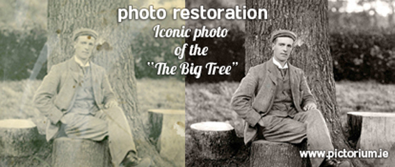 Photo_Restoration_The-Big-Tree-Loughlinstown_The-Pictorium-Monkstown-Dublin_Torn-damaged-marked-faded_Photo-restored-printed-and-framed1